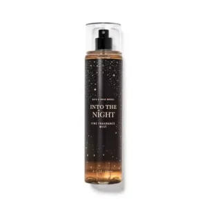 Into The Night Mist.jpg