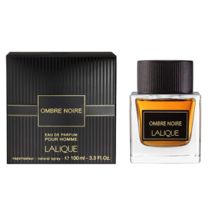 Lalique Ombre Noir Pour Homme Edp 100 Ml 2