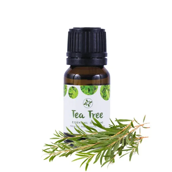 Skin-Cafe-Tea-Tree-Essential-Oil.jpg